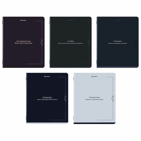 Тетради предметные, КОМПЛЕКТ 5 ПРЕДМЕТОВ, 48 л., SoftTouch, BRAUBERG "VINTAGE", 405188