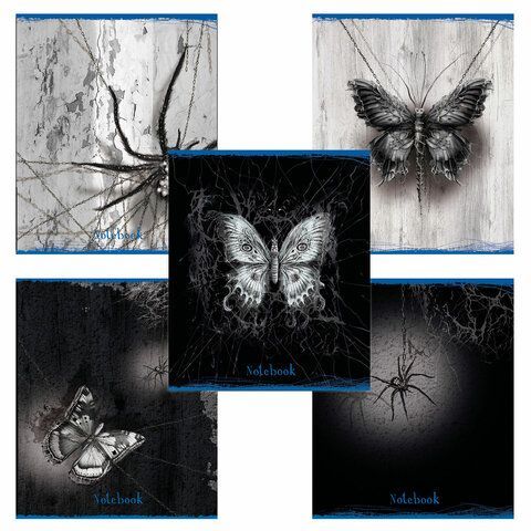 Тетрадь А5 48л. ПЗБМ скоба, клетка, матовая ламинация, выборочный лак, Паутина(микс в спайке), 23850