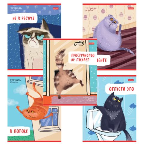 Тетрадь А5 48 л., HATBER скоба, линия, обложка картон, "Кот-обормот" (микс в спайке), 080206, 48Т5В2