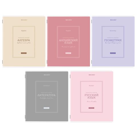 Тетради предметные, КОМПЛЕКТ 5 ПРЕДМЕТОВ, 48 л., рельефный картон, матовая ламинация, BRAUBERG "CLASSIC", 405186