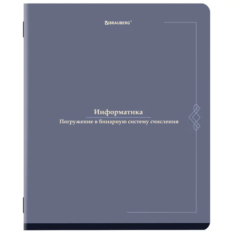 Тетрадь предметная VINTAGE 48 л., SoftTouch, ИНФОРМАТИКА, клетка, подсказ, BRAUBERG, 405154