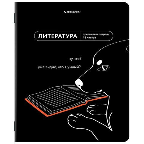 Тетрадь предметная МЕМЫ 48 л., TWIN-лак, ЛИТЕРАТУРА, линия, подсказ, BRAUBERG, 405104