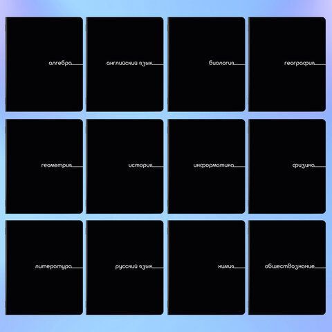 Тетради предметные, КОМПЛЕКТ 12 ПРЕДМЕТОВ, 48 л., обложка картон, BRAUBERG "BLACK", 405164