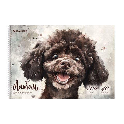 Альбом для акварели А4 40л., бумага 200 г/м, гребень, твердая подложка, BRAUBERG, Дизайн 1, 116885