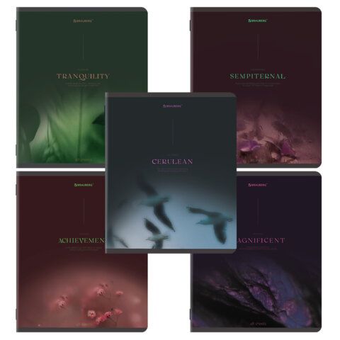 Тетрадь А5, 48 л., BRAUBERG, скоба, клетка, SoftTouch, "Peaceful", (микс в спайке), 405327