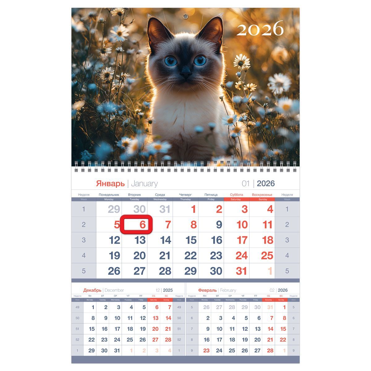 Календарь квартальный 1 бл. на 1 гр., 295*475 мм BG Mono premium "Кот в цветах", с магнитным бегунком, 2026г.