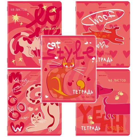 Тетради ДЭК А5 48 л. КОМПЛЕКТ 5 шт. BRAUBERG, скоба, клетка, TWIN-лак, "PINK MOOD", 404930