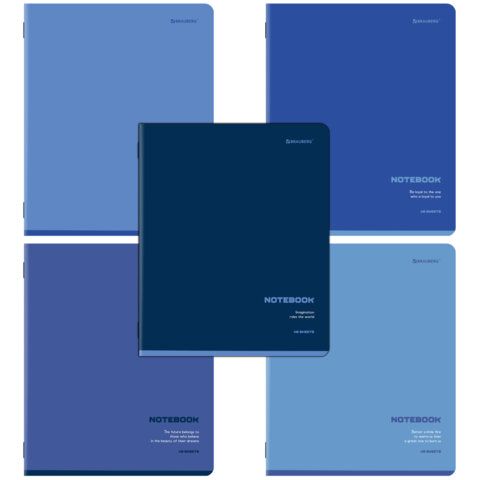 Тетради ДЭК А5 48 л. КОМПЛЕКТ 5 шт. BRAUBERG, скоба, клетка, SoftTouch, "КЛАССИКА BLUE", 404913