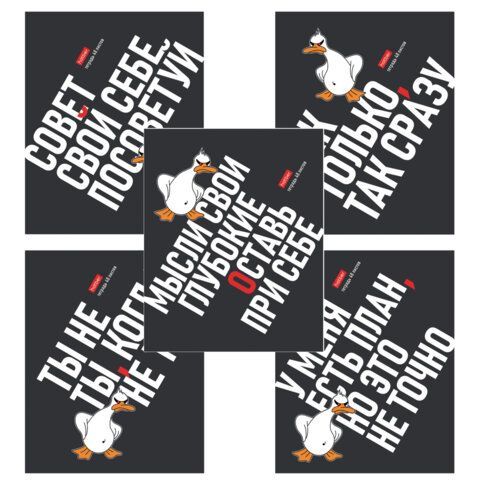 Тетрадь А5 48 л., HATBER скоба, клетка, выборочный лак, "Гусь умный" (микс в спайке), 078540, 48Т5вмВ1