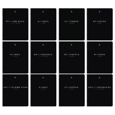 Тетради предметные, КОМПЛЕКТ 12 ПРЕДМЕТОВ, 48л, SoftTouch, 3D-фольга, BRAUBERG, BLACK GOLD, 405602