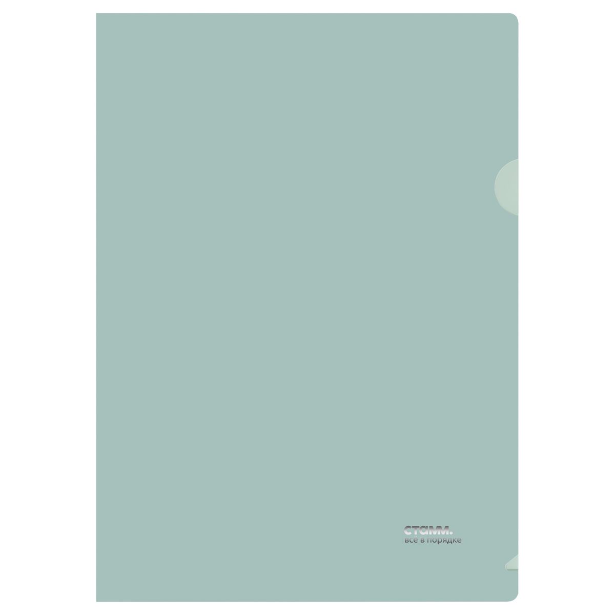 Папка-уголок СТАММ "Акцент" А4, 180мкм, пластик, непрозрачная, эвкалиптовая