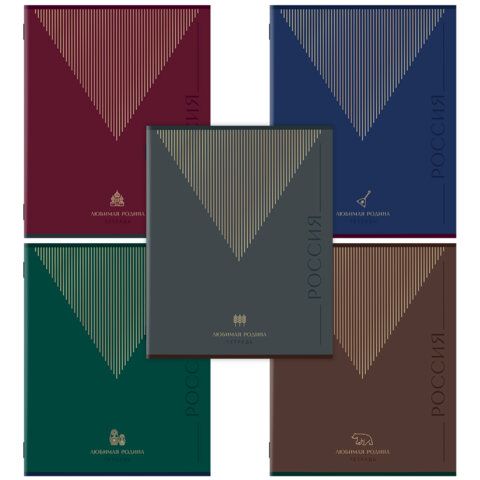 Тетрадь А5 48 л. STAFF "College", скоба, клетка, офсет №2 ЭКОНОМ, обложка картон, "РОДИНА", 405625