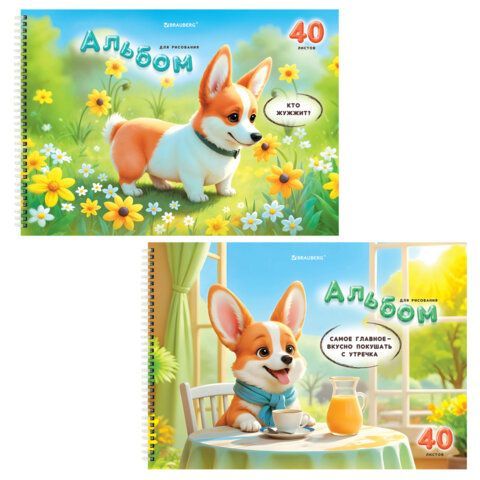 Альбомы для рисования ДЭК, А4, 40 л., КОМПЛЕКТ 2 шт., гребень, глянцевый лак, BRAUBERG, 200х290 мм, "Корги", 107739