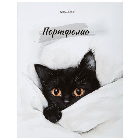 Папка-портфолио универсальная, 4 кольца, 20 файлов, 7БЦ матовая, BRAUBERG "Cat", 107557, 117557