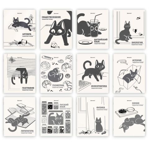 Тетради предметные, КОМПЛЕКТ 12 ПРЕДМЕТОВ 48 л., пластиковая обложка, BRAUBERG "КОТ-НЕПОСЕДА", 405542