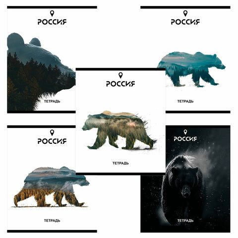 Тетрадь А5 48л. ПЗБМ скоба, клетка, Soft Touch, брайль, Место Силы (микс в спайке), 23294