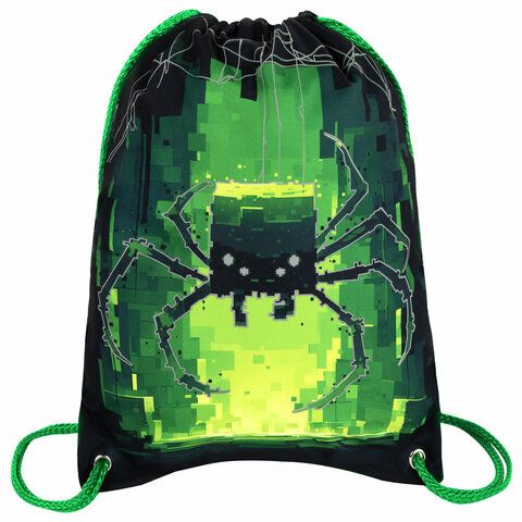 Мешок для обуви BRAUBERG PREMIUM, карман, подкладка, светоотражайка, 43х33 см, Digital spider, 273444