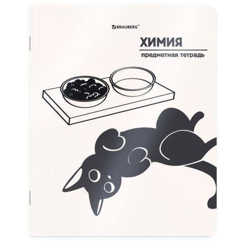 Тетрадь предметная КОТ-НЕПОСЕДА 48 л., пластиковая обложка, ХИМИЯ, клетка, подсказ, BRAUBERG, 405538