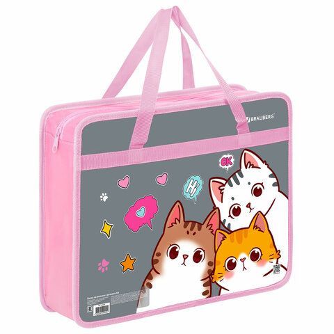 Папка на молнии с ручками BRAUBERG А4, 1 отделение, пластик, 80 мм, "Hi there", 273370