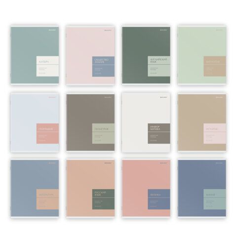 Тетради предметные, КОМПЛЕКТ 12 ПРЕДМЕТОВ 48 л., пластиковая обложка, BRAUBERG "MonoPastel", 405540