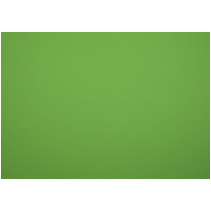 Картон плакатный 48*68см, Мульти-Пульти, 10л., мелованный в пакете, зеленый, 380г/м2