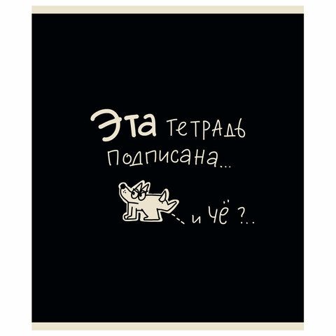 Тетрадь А5 48л. ПЗБМ скоба, клетка, матовая ламинация, брайль, Тетрадь подписана (микс в ПУ), 23447