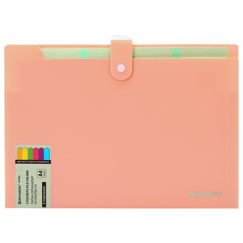 Папка-органайзер на кнопке 5 отделений, BRAUBERG "Extra", А4, персиковая с мятным, 274097