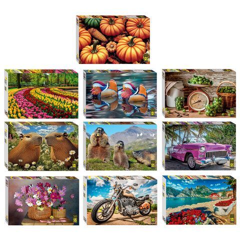 Пазл картонный 500 элементов, АССОРТИ, поле 50х34,5 см, STEP PUZZLE