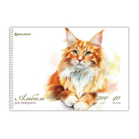 Альбом для акварели А4 40л., бумага 200 г/м, гребень, твердая подложка, BRAUBERG, Дизайн 2, 116884