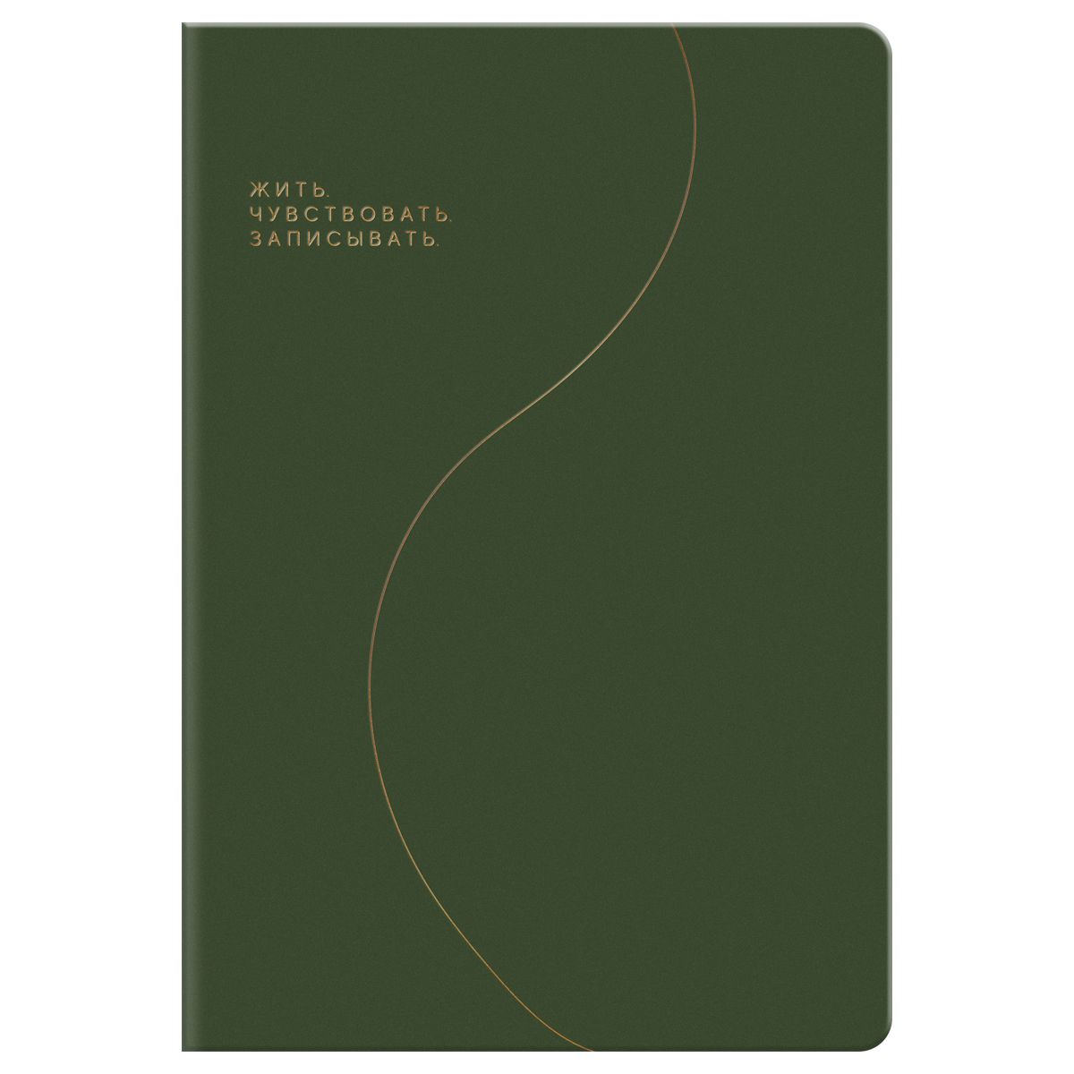 Записная книжка А5, 96л., BG "Смыслы", кожзам, линия, зеленый