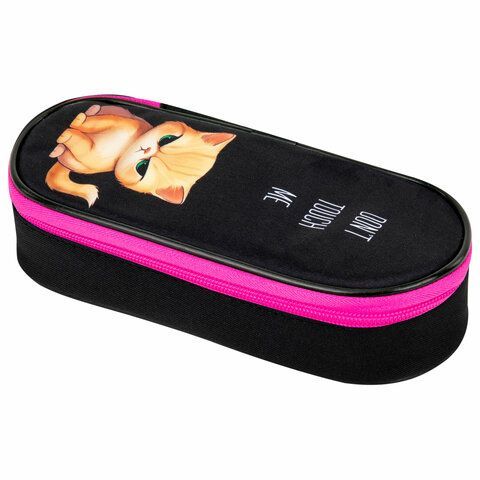 Пенал-футляр BRAUBERG, 1 отделение, органайзер, полиэстер, 22x9х5 см, Angry kitty, 273566