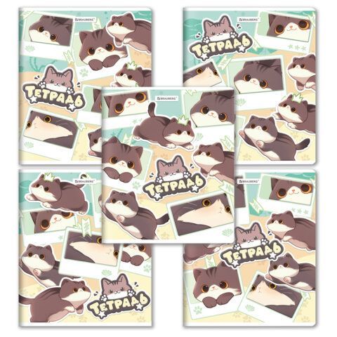 РЕЗЕРВ Тетрадь А5 48л. BRAUBERG МИЛЫЕ КОТЫ скоба, клетка, выборочный лак, 405193