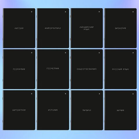 Тетради предметные, КОМПЛЕКТ 12 ПРЕДМЕТОВ, "MINIMAL", 48 л., матовая ламинация, BRAUBERG, 404831