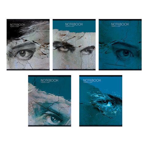 Тетрадь А5 48 л., ПЗБМ скоба, клетка, Soft Touch, "Каменный взгляд" (микс в спайке), 23225