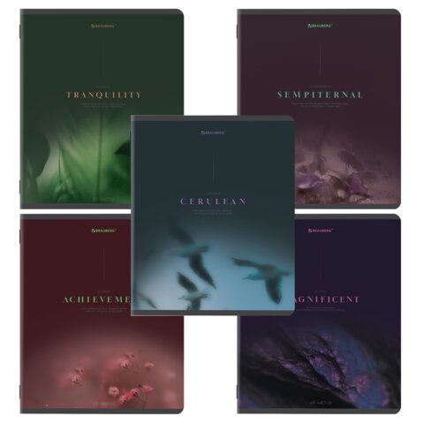 Тетрадь А5, 48 л., BRAUBERG, скоба, клетка, SoftTouch, "Peaceful", (микс в спайке), 405327