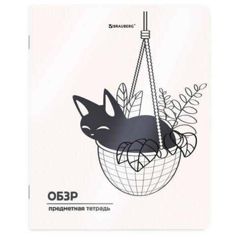 Тетрадь предметная КОТ-НЕПОСЕДА 48 л., пластиковая обложка, ОБЗР, клетка, подсказ, BRAUBERG, 405539