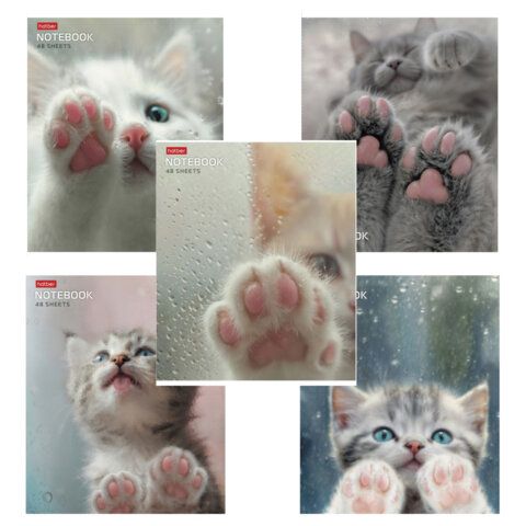 Тетрадь А5 48 л., HATBER скоба, клетка, обложка картон, "Розовые лапки" (микс в спайке), 090370, 48Т5В1