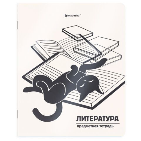 Тетрадь предметная КОТ-НЕПОСЕДА 48 л., пластиковая обложка, ЛИТЕРАТУРА, линия, подсказ, BRAUBERG, 405535