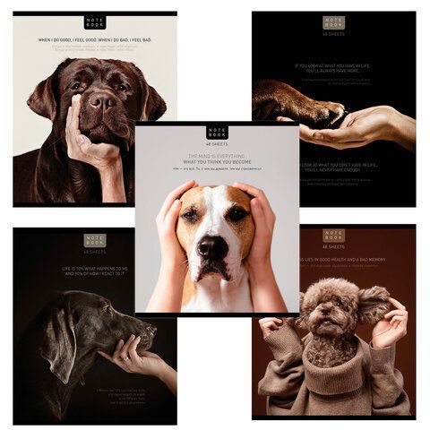 Тетрадь А5 48л. ПЗБМ скоба, клетка, конгрев, TWIN лак, Посмотри на меня (микс в спайке), 23805