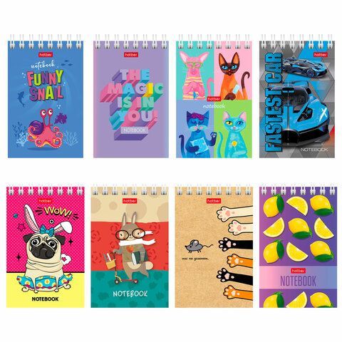 Блокнот МАЛЫЙ ФОРМАТ (65х100 мм) А7, 40 л., гребень, картон, клетка, дисплей, HATBER, Ассорти, 40Б7B1гр, B115503