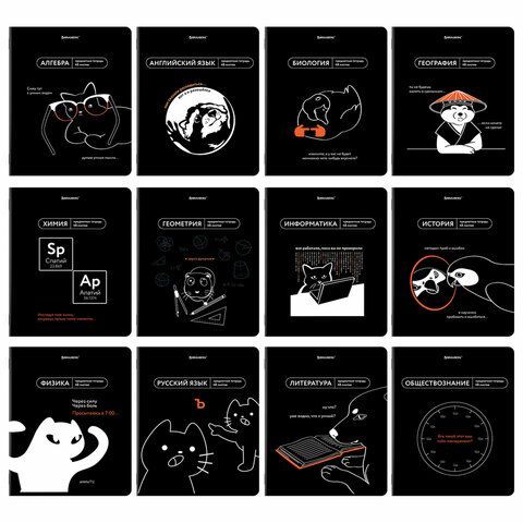 Тетради предметные, КОМПЛЕКТ 12 ПРЕДМЕТОВ, 48 л., TWIN лак, BRAUBERG "МЕМЫ", 405172