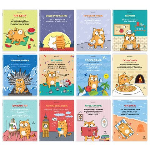 Тетради предметные, КОМПЛЕКТ 12 ПРЕДМЕТОВ, "КОТ-ЭНТУЗИАСТ", 48 л., TWIN-лак, BRAUBERG, 404609