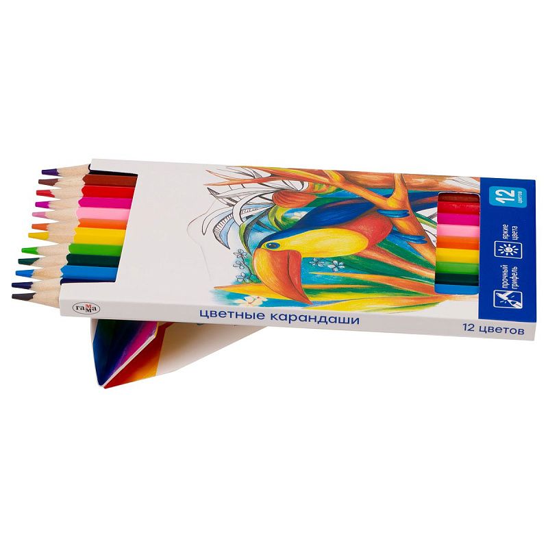 Карандаши цветные Гамма "Классические", 12цв., заточен., картон. упак., европодвес