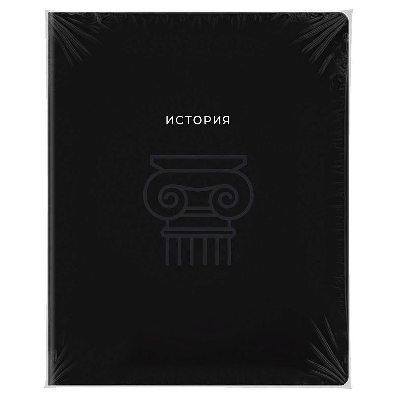 Тетрадь предметная 48л. BG "Минимализм" - История, выб.лак