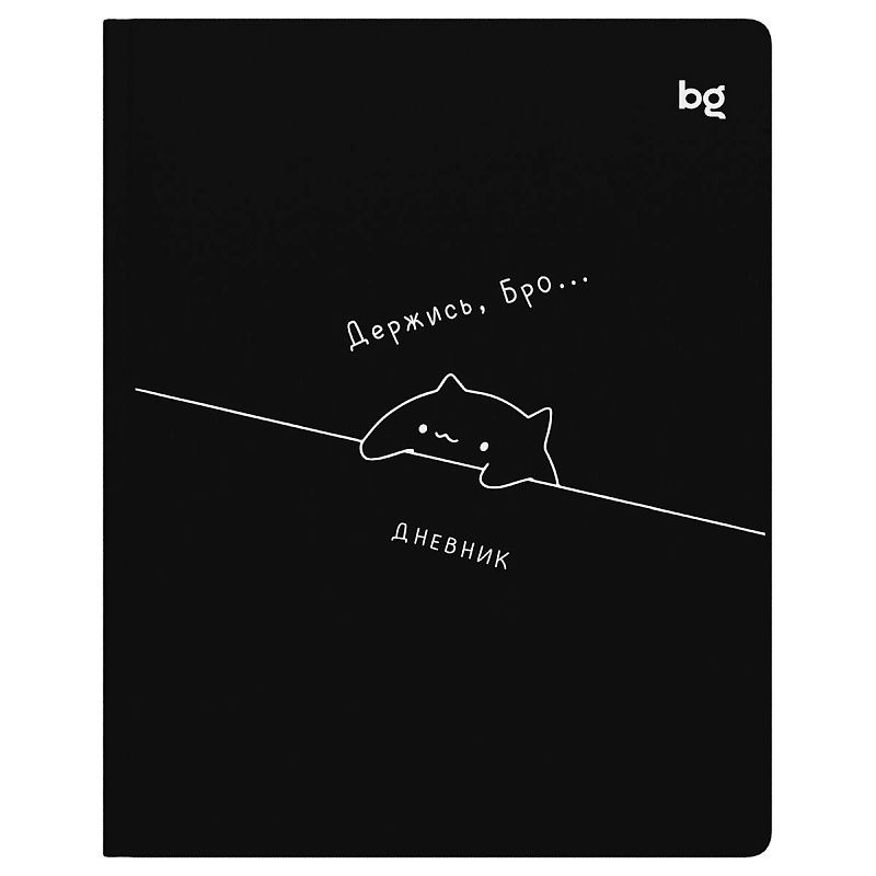 Дневник 1-11 кл. 48л. (твердый) BG "Держись", иск. кожа (балакрон), печать, ляссе