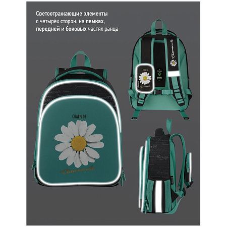 Ранец Berlingo Expert Plus "Chamomile" 38*29*15см, 2 отделения, 2 кармана, анатомическая спинка 