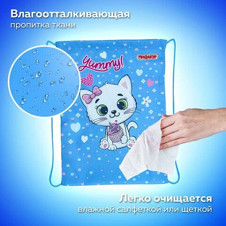 Мешок для обуви ПИФАГОР, 1 отделение, 42х34 см, "Yummy cupcake", 271603 
