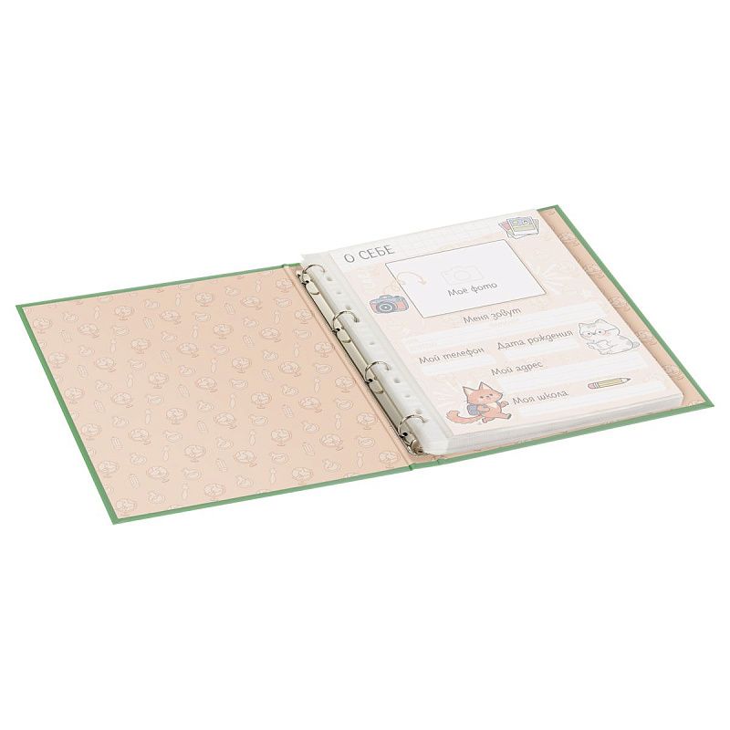 Папка-портфолио 7БЦ А4 BG, на 4 кольцах для школьника "Котята-школьники", 20 файлов, 10 вкладышей. 