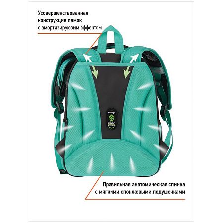 Ранец Berlingo Expert Plus "Chamomile" 38*29*15см, 2 отделения, 2 кармана, анатомическая спинка 
