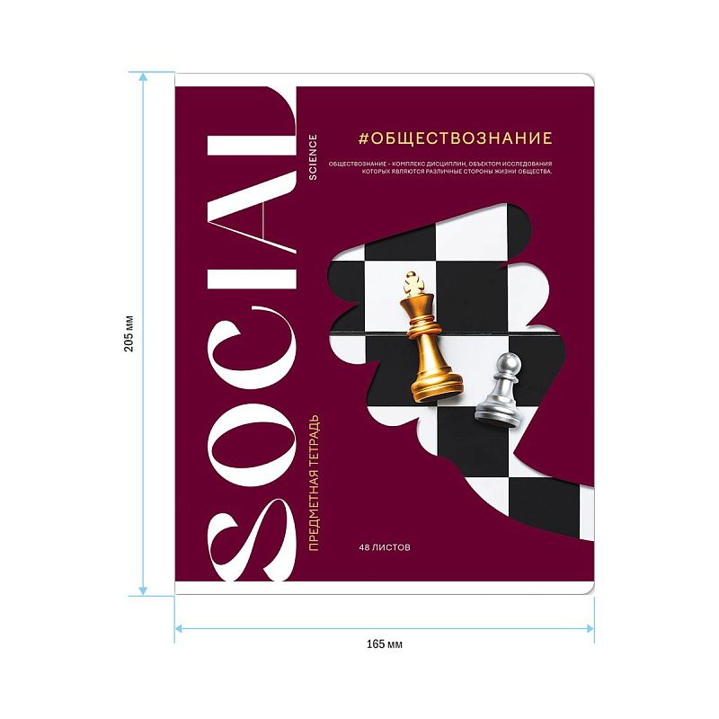 Тетрадь предметная 48л. ArtSpace "Коллаборация"- Обществознание, матовая ламинация, выб. лак